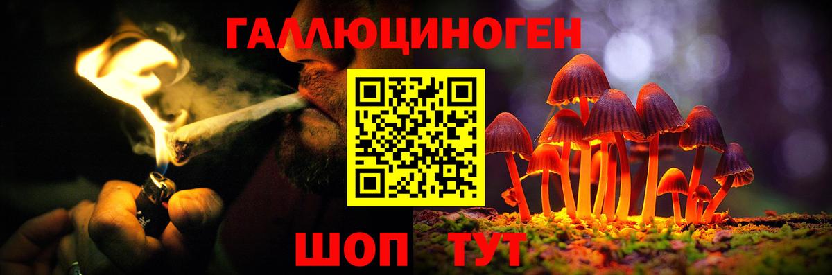 Псилоцибиновые грибы ЛСД Курган