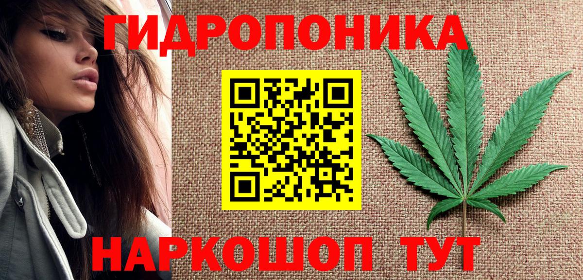 Шишки марихуана план  Шишки марихуана индика  Курган  Вход с VPN  Конопля SATIVA & INDICA 